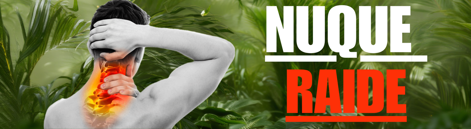Nuque Raide & Cervicales Bloquées : Causes et 5 Solutions Efficaces