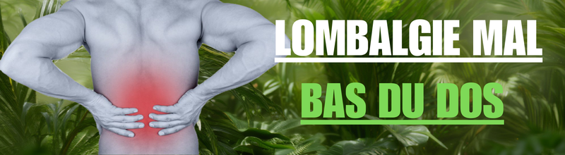 Lombalgie : 8 Solutions  pour Soulager le Mal en Bas du Dos