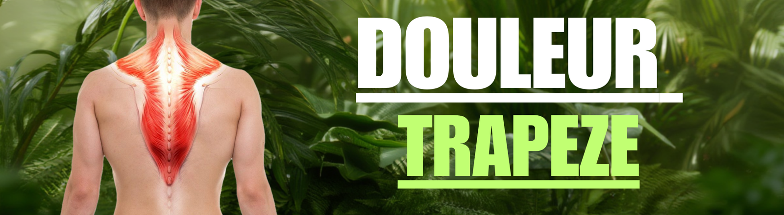 Douleur au Trapèze : Causes, Symptômes & 6 Solutions Efficaces