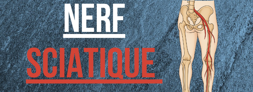 Sciatique : 8 Solutions pour Soulager la Douleur Rapidement